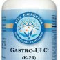 Apex Energetics - Gastro-ULC (K-29) - 90 Tablets