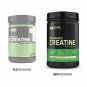 Optimum Nutrition Micronized Creatine Monohydrate Powder, 240 Servings 2.64 Lb