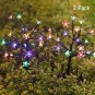 Jack & Rose Solar Lights Outdoor Decorative Solar Garden Lights, 2 Pack Beautifu