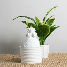 Foreside Home and Garden Pineapple Indoor Water Fountain with Pump, White