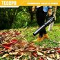 TECCPO Cordless Leaf Blower 20V, Turbine Fan, 85MPH 310CFM Air Volume, Dual Spee