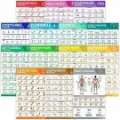 [14-PACK] Laminated Large Workout Poster Set - Perfect Workout Posters For Home