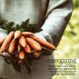 NOW Essential Oils, Carrot Seed Oil, Grounding Aromatherapy Scent, Steam Distill