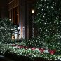LiyuanQ Solar String Lights, 200 LED Solar Fairy Lights 72 Feet 8 Modes Silver W
