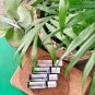 NOW Essential Oils, Tea Tree Roll-On, Certified Organic, Purifying Blend, Steam