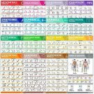 [16-PACK] Laminated Large Workout Poster Set - Perfect Workout Posters For Home