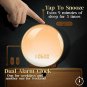 Wake Up Light,TITIROBA Sunrise Simulation Dual Alarms Clock Aid Sleep Snooze Fun