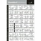 NewMe Fitness Dumbbell Workout Exercise Poster - Now Laminated - Strength Traini