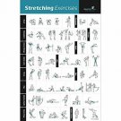 Stretching Exercise Poster Laminated - Shows How to Stretch Specific Muscles for