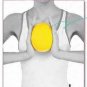 Yoga Pilates Exercise Ball Mini 9.8 Inch for Stability Balance Training for Core
