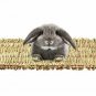 Cloud-X 3 Pack Rabbit Bunny Mat, Natural Straw Woven Grass Bed Mat Chew Toy Bed