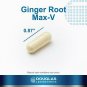Douglas Laboratories - Ginger Root Max V Revised - Standardized Ginger Root Form