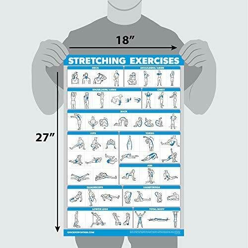 QuickFit Stretching Workout Exercise Poster - Double Sided (Laminated ...