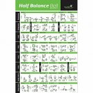 NewMe Fitness Half Balance Ball Workout Poster - Laminated :: Illustrated Guide