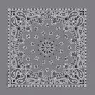 Charcoal Paisley Bandana