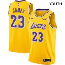 Nike Lakers #23 LeBron James Gold Youth NBA Swingman Icon Edition Jersey