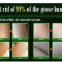 Healthy Skin Care Treament Chicken Skin Repair Remove Dead Skin Goose Bumps Pimp