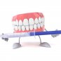 Dapiz - Teeth Whitening Kit