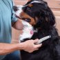 NEW Dog Cat Electric Grooming Comb No Knot Detangler Pet FREE SHIPPING