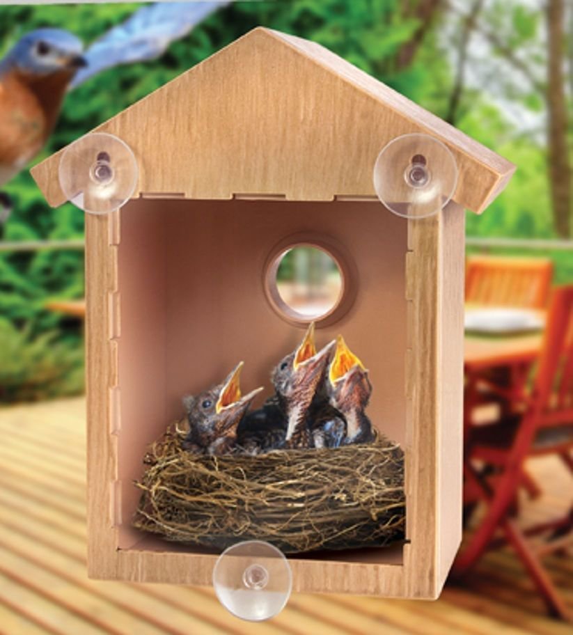 My Spy Birdhouse - Peek Into the World of Birds