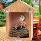 My Spy Birdhouse - Peek Into the World of Birds