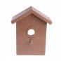 My Spy Birdhouse - Peek Into the World of Birds