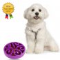 wangstar Slow Feed Dog Bowl 8 inch, Bloat Stop Dog Puzzle Bowl Maze, Cat Food