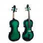 NAOMI Acoustic Violin 4/4 Violin Fiddle With Case+Bow Set
