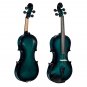 NAOMI Acoustic Violin 4/4 Violin Fiddle With Case+Bow Set