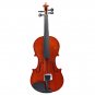 4/4 Acoustic Violin with Case Bow for Violin Beginner