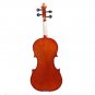 4/4 Acoustic Violin with Case Bow for Violin Beginner