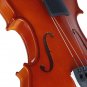 4/4 Acoustic Violin with Case Bow for Violin Beginner