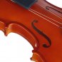 4/4 Acoustic Violin with Case Bow for Violin Beginner