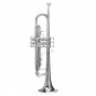 Bb Beginner Trumpet Brass Band Gold Plated Care Kit Case in Gold Silver Red Blue Black
