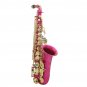 SLADE LD-896 E-flat Brass Pipe Alto Saxophone with Bag Clean Tools