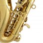 Slade Saxophone Soprano Instrument B-flat Saxophone for Beginner with Cleaning Accessories