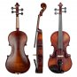 NAOMI Acoustic Violin 4/4 Full Size Solid Wood Violin Fiddle Gloss Finish Violin