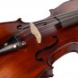 NAOMI Acoustic Violin 4/4 Full Size Solid Wood Violin Fiddle Gloss Finish Violin