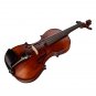 NAOMI Acoustic Violin 4/4 Full Size Solid Wood Violin Fiddle Gloss Finish Violin