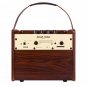 NUX SA-25 25W 3000mAh Rechargeable Bluetooth Acoustic Guitar Speaker