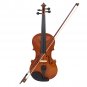Multi-size Basswood Acoustic Violin with Case Bow for Violin Beginner