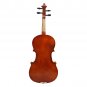 Multi-size Basswood Acoustic Violin with Case Bow for Violin Beginner