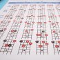 DEBBIE Hord-1.2 Four-String Electric Bass String Spectrum Guitar Chord Chart for Fingering Practice