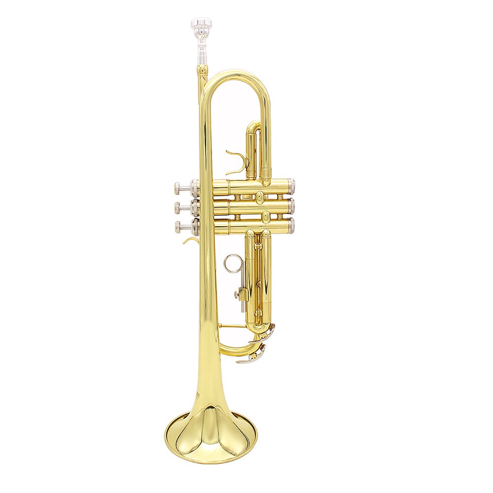 SLADE Bb Brass Phosphorus Copper Trumpet With Carry Casing For Children School Band