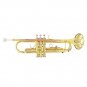 SLADE Bb Brass Phosphorus Copper Trumpet With Carry Casing For Children School Band