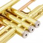 SLADE Bb Brass Phosphorus Copper Trumpet With Carry Casing For Children School Band