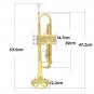 SLADE Bb Brass Phosphorus Copper Trumpet With Carry Casing For Children School Band