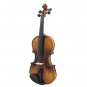 ASTON AV-506 4/4 Spruce Solid Wood Vintage Violin with Case&Accessories