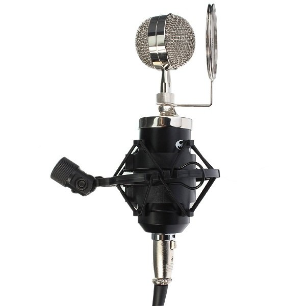 Professional Sound Mic Studio Recording Condensor Microphone