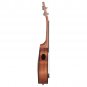 IRIN 4 String 21 Inch Walnut Wood Soprano Ukulele Acoustic Guitar Mahogany Fingerboard Neck Hawaii G